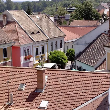 Nr 100 Panzio Szolgaltatasok Szentendre