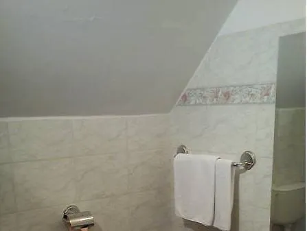 Nr 100 Panzio Szolgaltatasok ホテル