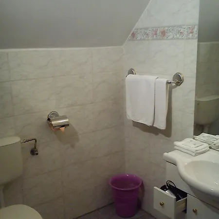 ホテル Nr 100 Panzio Szolgaltatasok センテンドレ